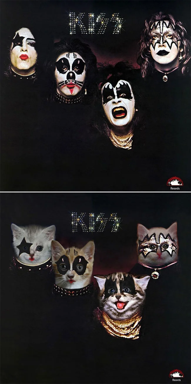 Художник рисует на обложках знаменитых альбомов котиков и это очень мурмур - фото 356244