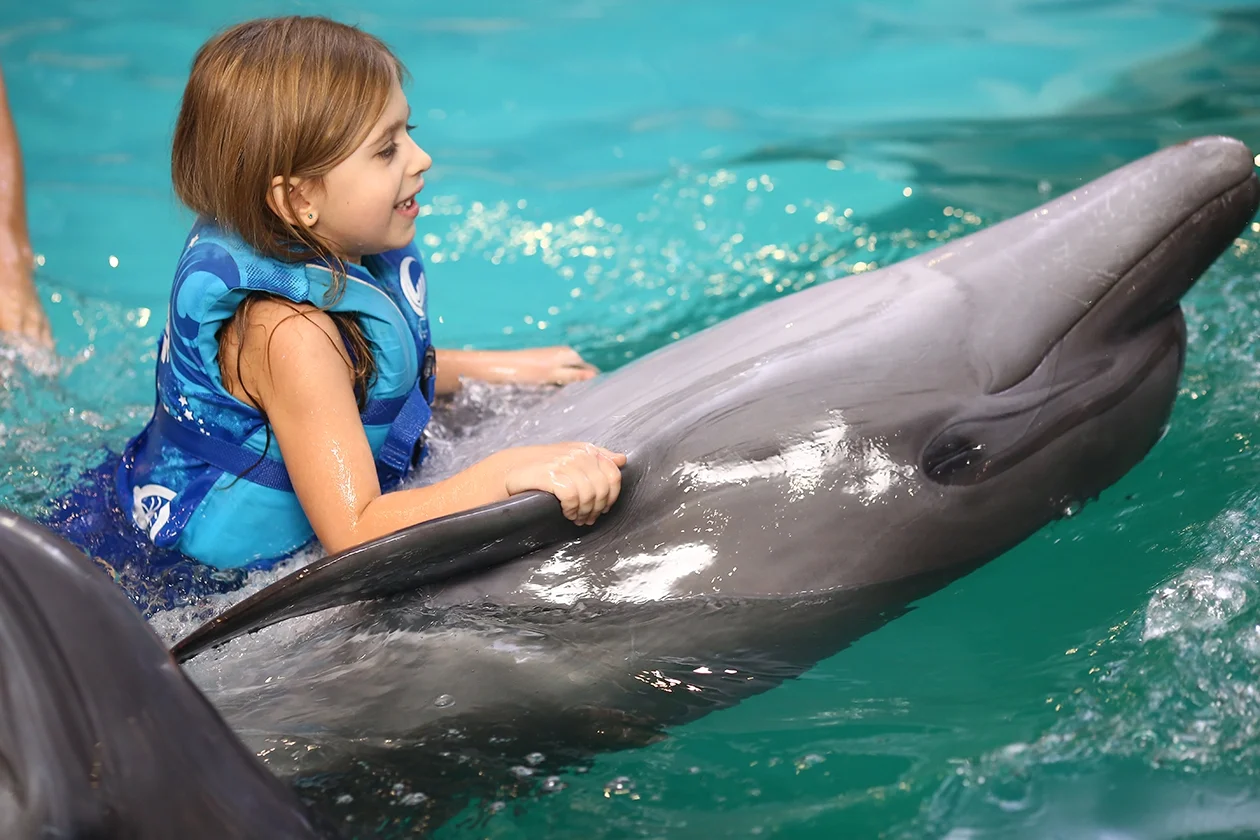 Анатолий Анатолич показал мимишные фото с дельфинами и дочкой - фото 354819