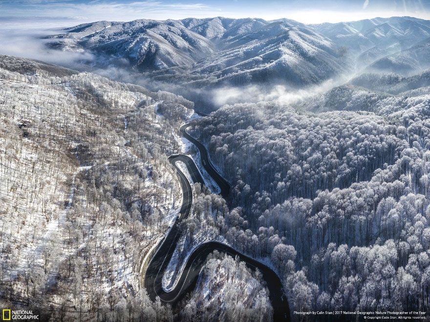 Мурашки по шкірі: National Geographic визначив найкращих фотографів природи 2017 - фото 357711