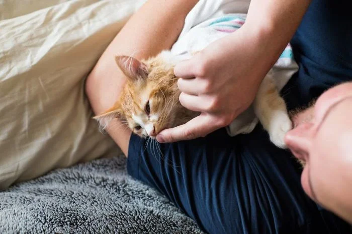 Мир в шоке: пара представила, что рождает котика и показала это на фото - фото 363116