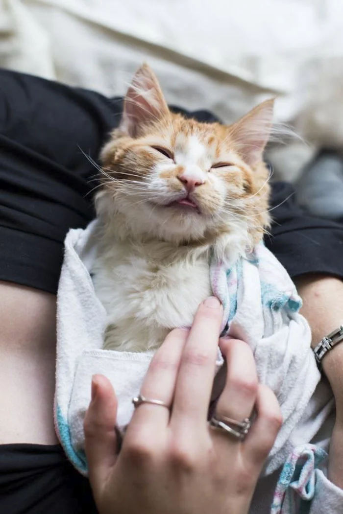 Мир в шоке: пара представила, что рождает котика и показала это на фото - фото 363121