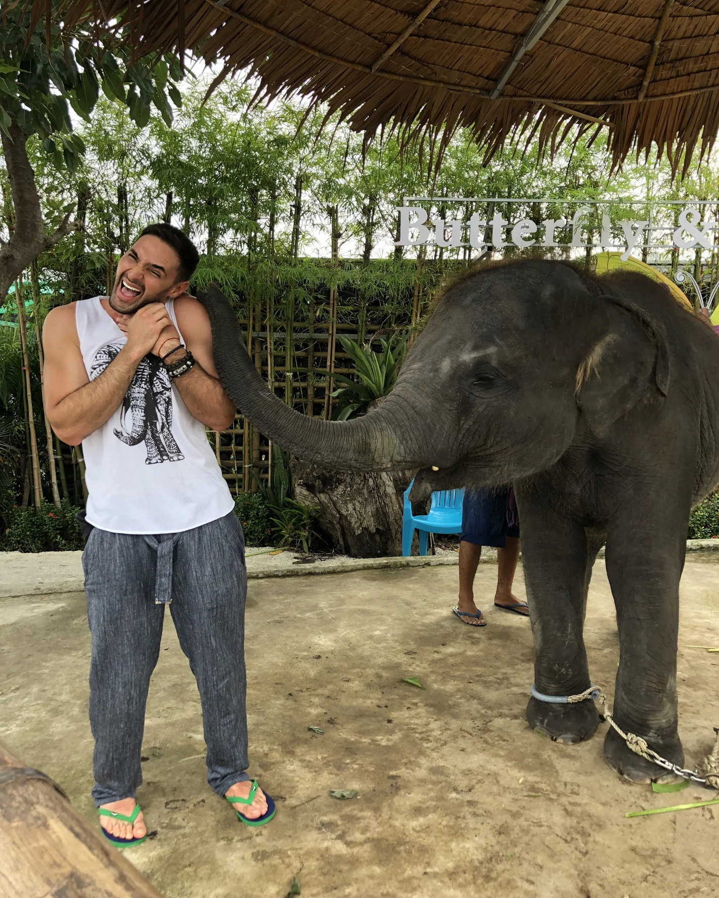 Ніжні обійми з слоном і нічні розваги: як Віталій Козловський відпочив у Таїланді - фото 365615