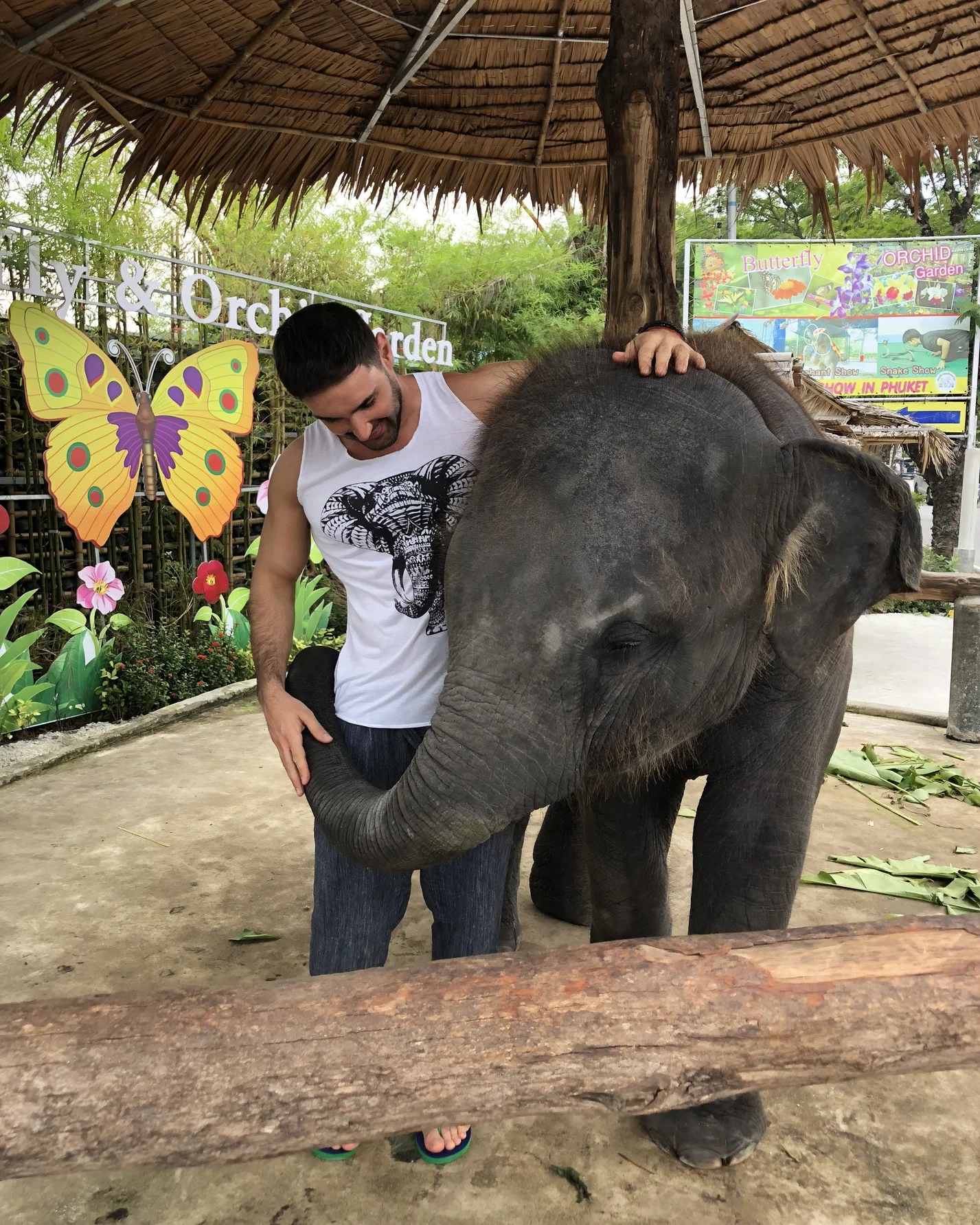 Ніжні обійми з слоном і нічні розваги: як Віталій Козловський відпочив у Таїланді - фото 365618