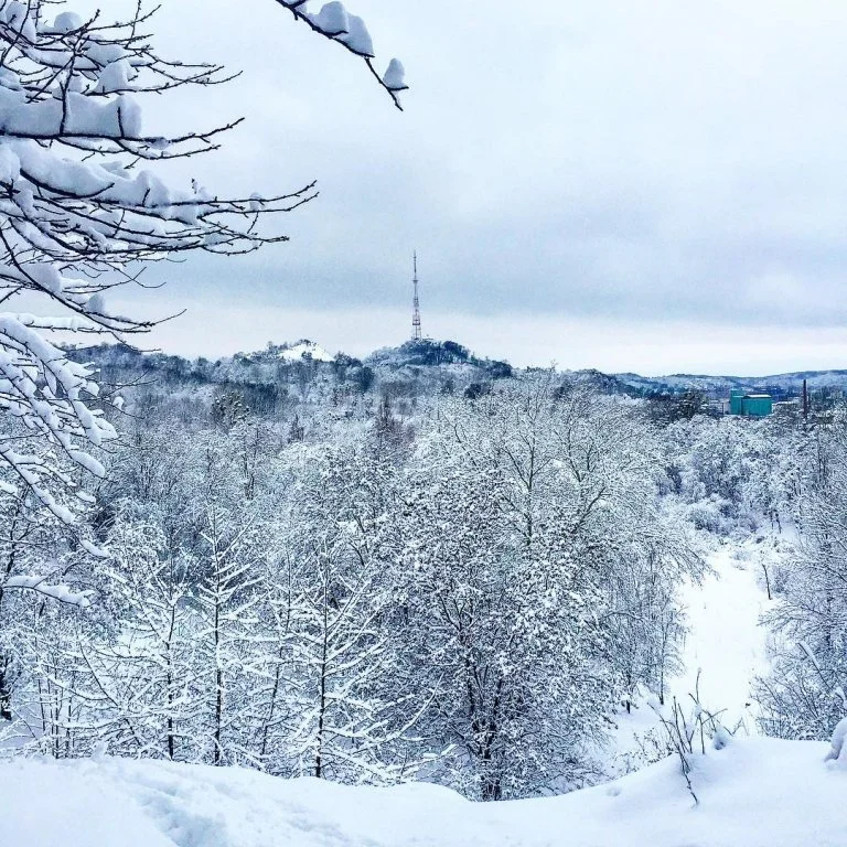 Львів замело снігом, і такої фантастичної зими ви давно не бачили - фото 366997