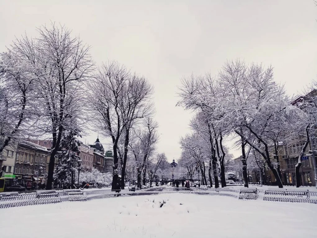 Львів замело снігом, і такої фантастичної зими ви давно не бачили - фото 366989