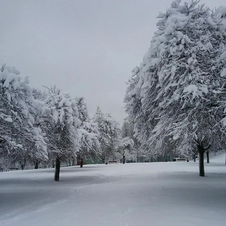 Львів замело снігом, і такої фантастичної зими ви давно не бачили - фото 366985