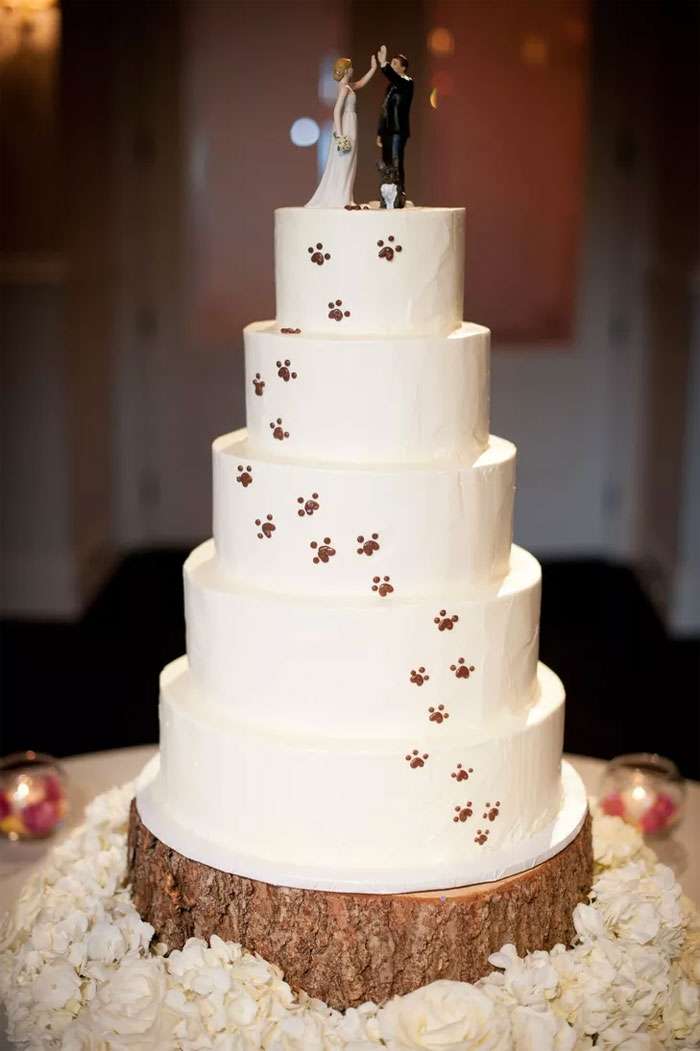 Пушистые и сладкие: свадебные торты, на которых собаки полноправные члены праздника - фото 367679