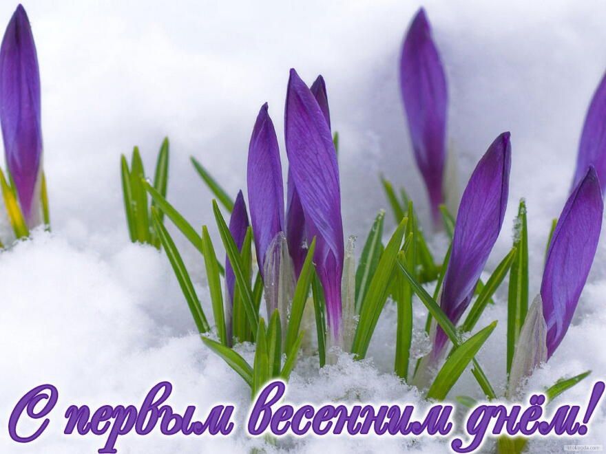 День весны 2018: открытки с поздравлениями - 372434 День весны 2018: открытки с поздравлениями - фото 372434