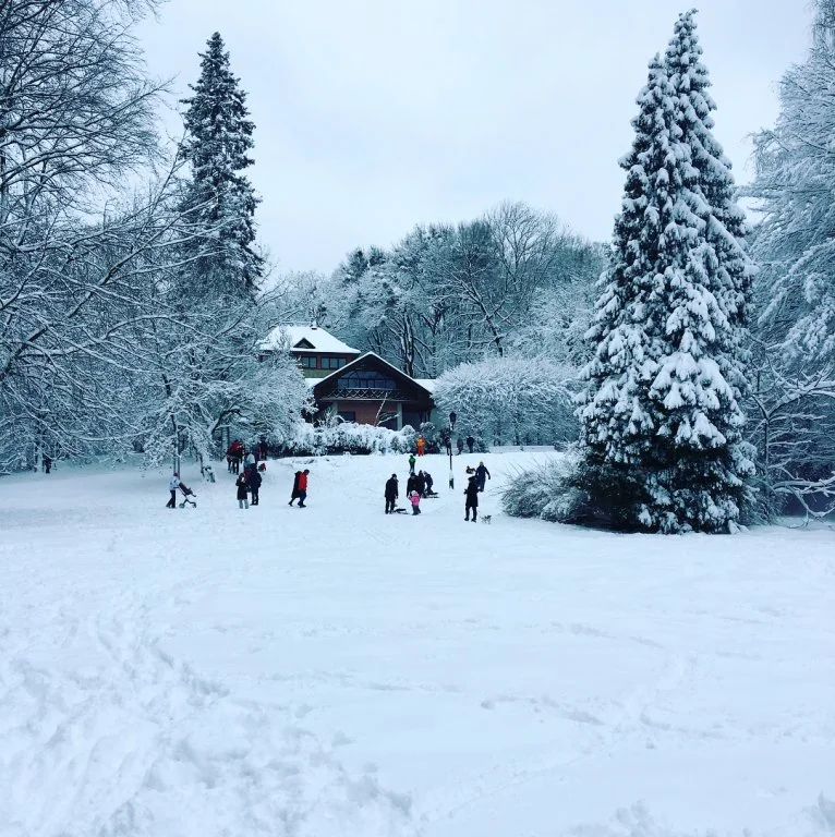 Львів замело снігом, і такої фантастичної зими ви давно не бачили - фото 366986