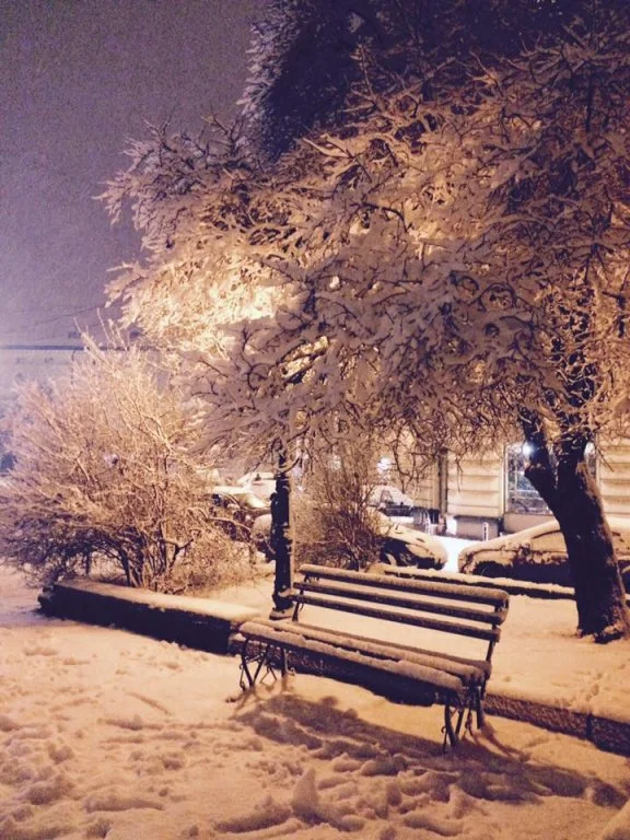 Львів замело снігом, і такої фантастичної зими ви давно не бачили - фото 367003