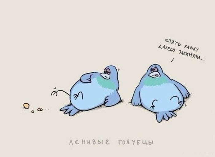 День неторопливости: смешные мемы и шутки о человеческой медлительности - 371651 День неторопливости: смешные мемы и шутки о человеческой медлительности - фото 371651