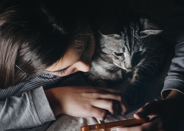 День кошек: веселые доказательства того, что котики - лучшее, что есть в нашей жизни - 372451 День кошек: веселые доказательства того, что котики - лучшее, что есть в нашей жизни - фото 372451