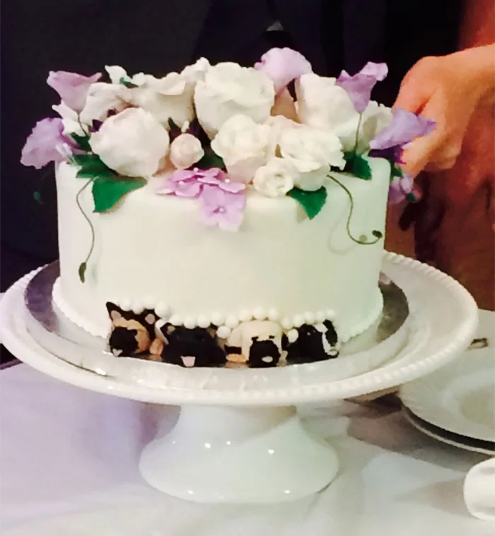 Пухнасті та солодкі: неймовірні весільні торти, на яких собаки повноправні члени свята - фото 367685