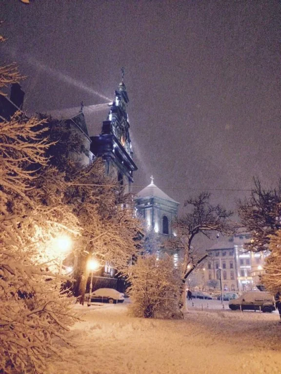 Львів замело снігом, і такої фантастичної зими ви давно не бачили - фото 367002
