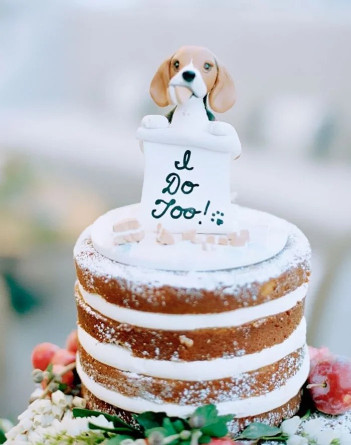 Пухнасті та солодкі: неймовірні весільні торти, на яких собаки повноправні члени свята - фото 367676