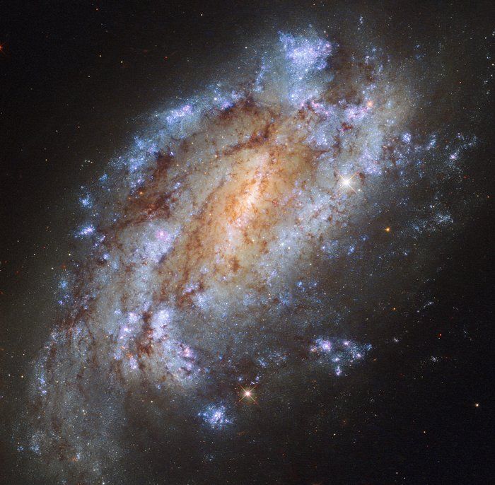 Галактика NGC 1559  - фото 367159