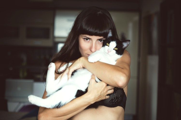 День кошек: веселые доказательства того, что котики - лучшее, что есть в нашей жизни - 372442 День кошек: веселые доказательства того, что котики - лучшее, что есть в нашей жизни - фото 372442
