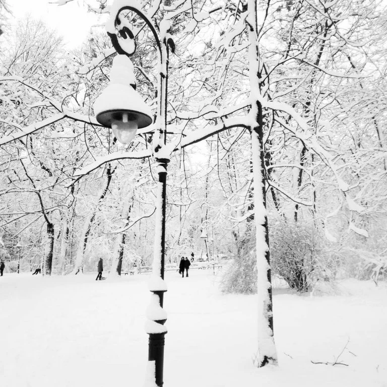Львів замело снігом, і такої фантастичної зими ви давно не бачили - фото 366995