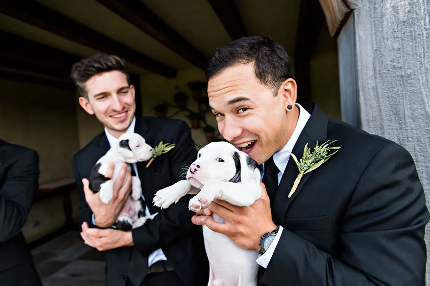 Букеты из щенков - новый свадебный тренд, который умилит вас до слез - фото 371152
