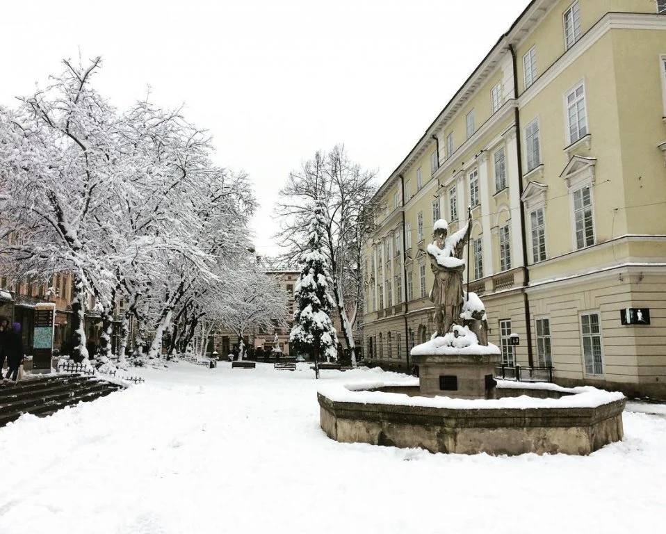 Львів замело снігом, і такої фантастичної зими ви давно не бачили - фото 366994