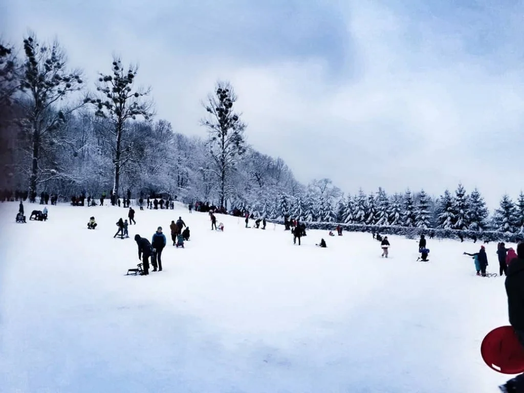 Львів замело снігом, і такої фантастичної зими ви давно не бачили - фото 366987
