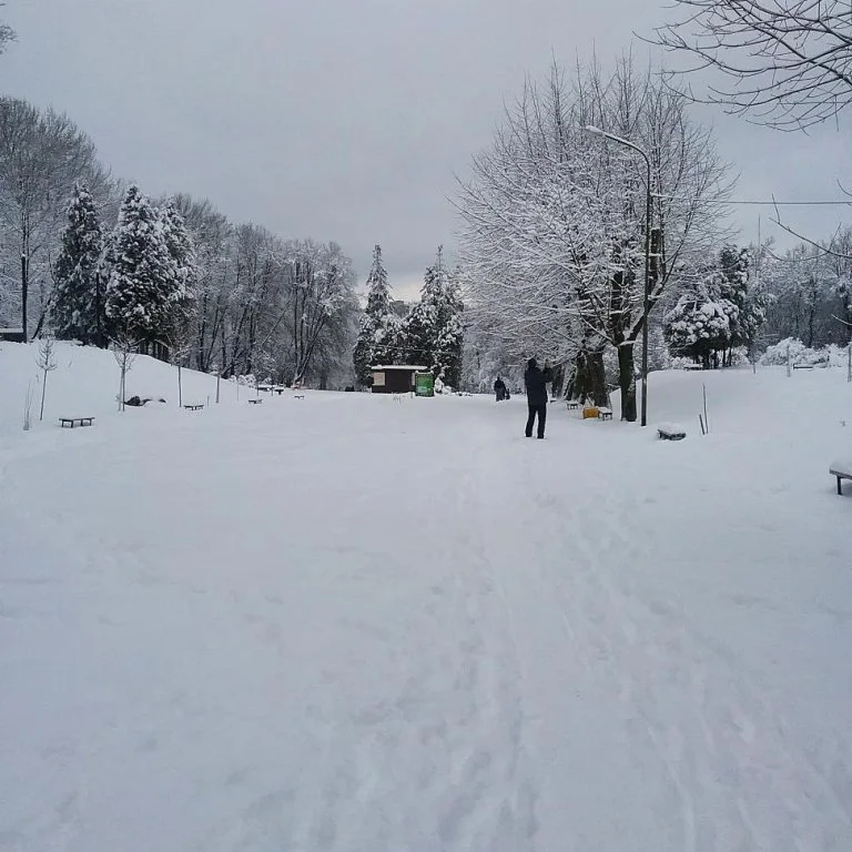 Львів замело снігом, і такої фантастичної зими ви давно не бачили - фото 366982