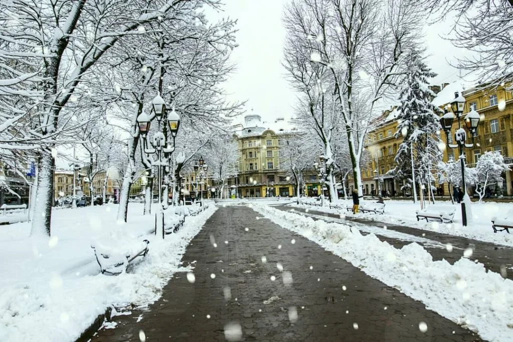 Львів замело снігом, і такої фантастичної зими ви давно не бачили - фото 366988