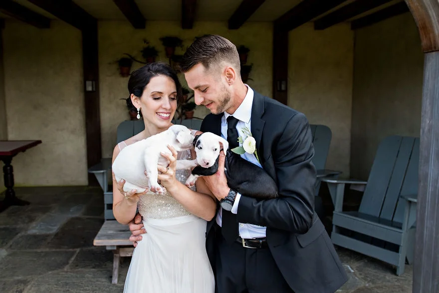 Букеты из щенков - новый свадебный тренд, который умилит вас до слез - фото 371151