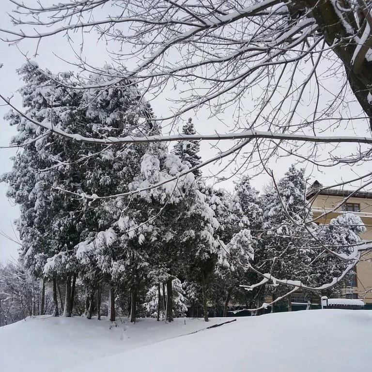 Львів замело снігом, і такої фантастичної зими ви давно не бачили - фото 366983