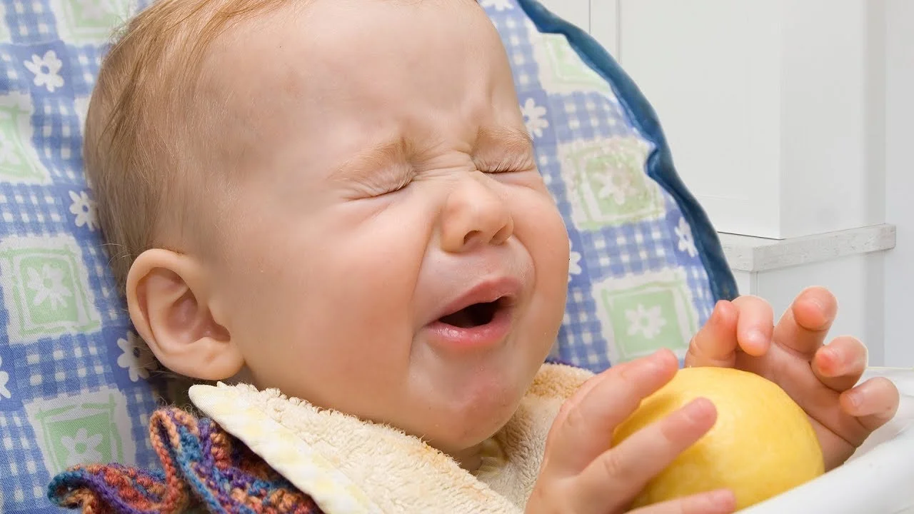Малыши впервые в жизни пробуют лимон, и это безумно смешно - фото 373750
