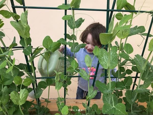 Голливудская хозяйка Милла Йовович похвасталась своим урожаем редиски - фото 376141