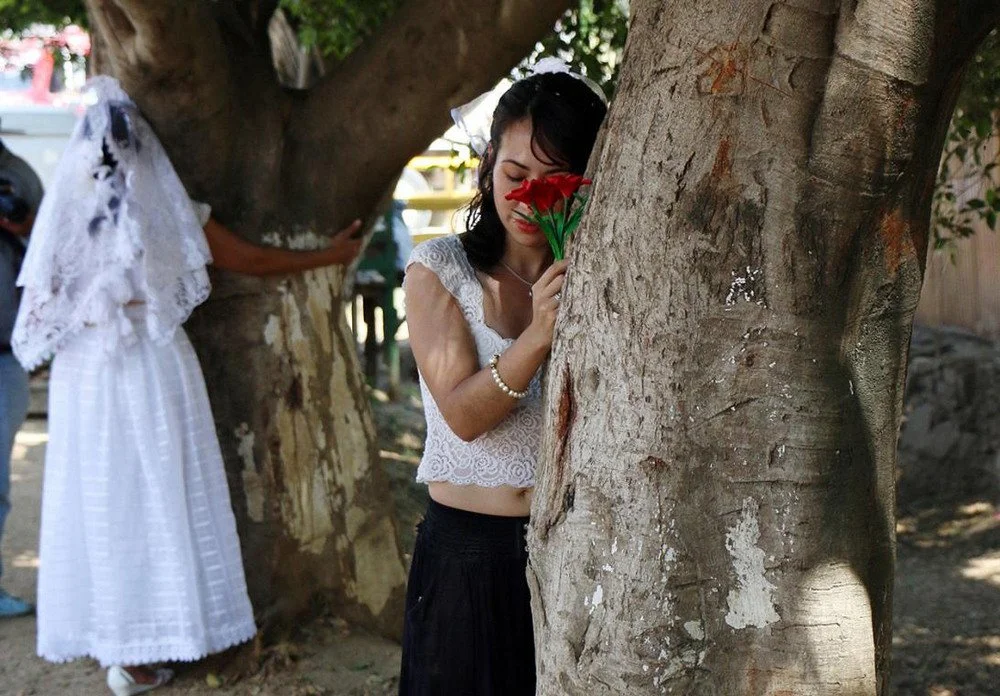 Мексиканки устроили протест и вышли замуж за деревья: фото свадебной церемонии - фото 374006