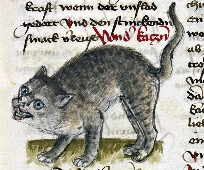 20 веселых доказательств, что древние художники нелепо рисовали котов - фото 377468