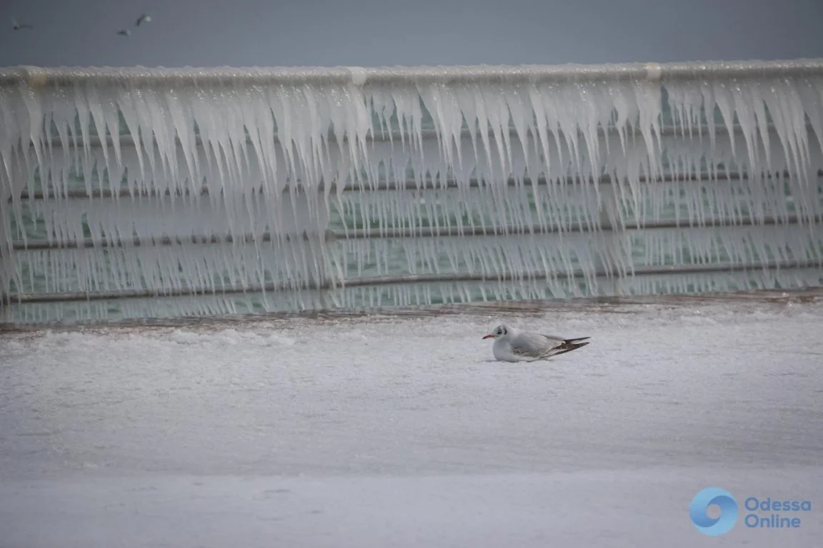 Одесская набережная замерзла, и это ледяное зрелище поражает - фото 375780