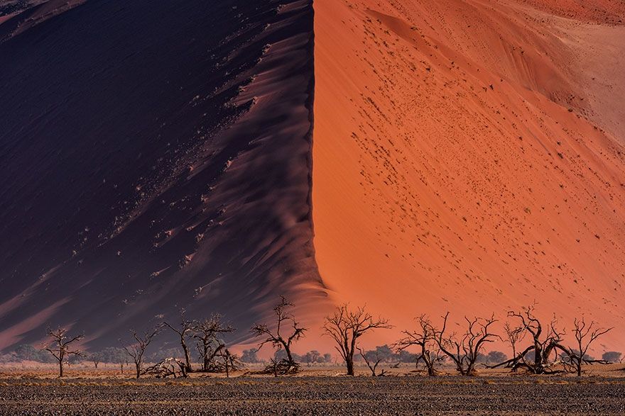 Sony World Photography Awards 2018: фото номинантов не оставят тебя равнодушным - фото 376084