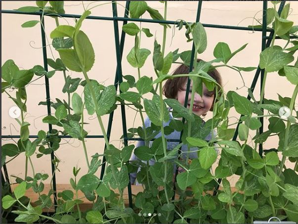 Голливудская хозяйка Милла Йовович похвасталась своим урожаем редиски - фото 376140