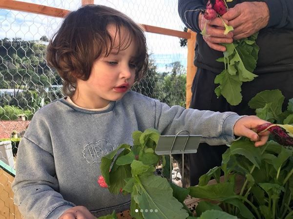 Голливудская хозяйка Милла Йовович похвасталась своим урожаем редиски - фото 376144