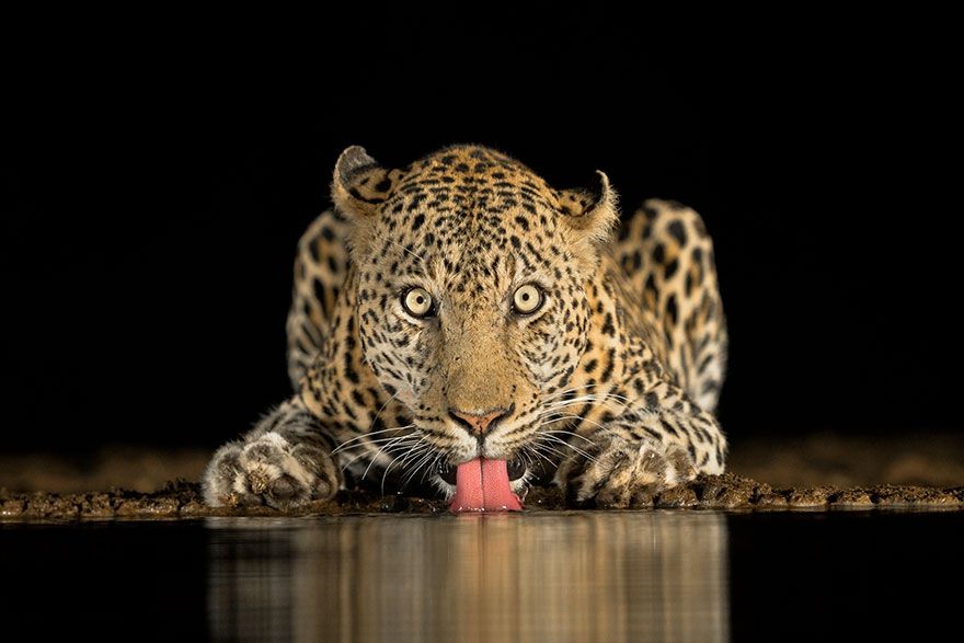 Sony World Photography Awards 2018: фото номинантов не оставят тебя равнодушным - фото 376075