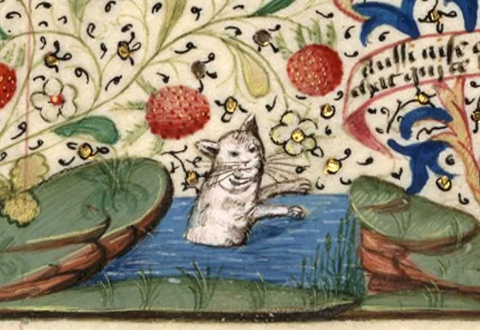 20 веселых доказательств, что древние художники нелепо рисовали котов - фото 377454