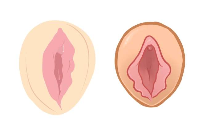 11 обманчивых вещей, которые вы могли слышать о вагинах - фото 376218