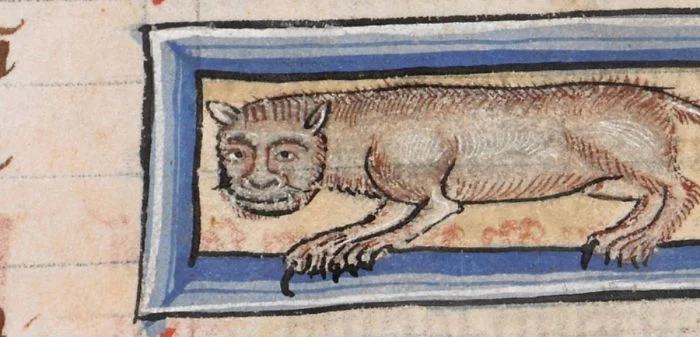 20 веселых доказательств, что древние художники нелепо рисовали котов - фото 377453
