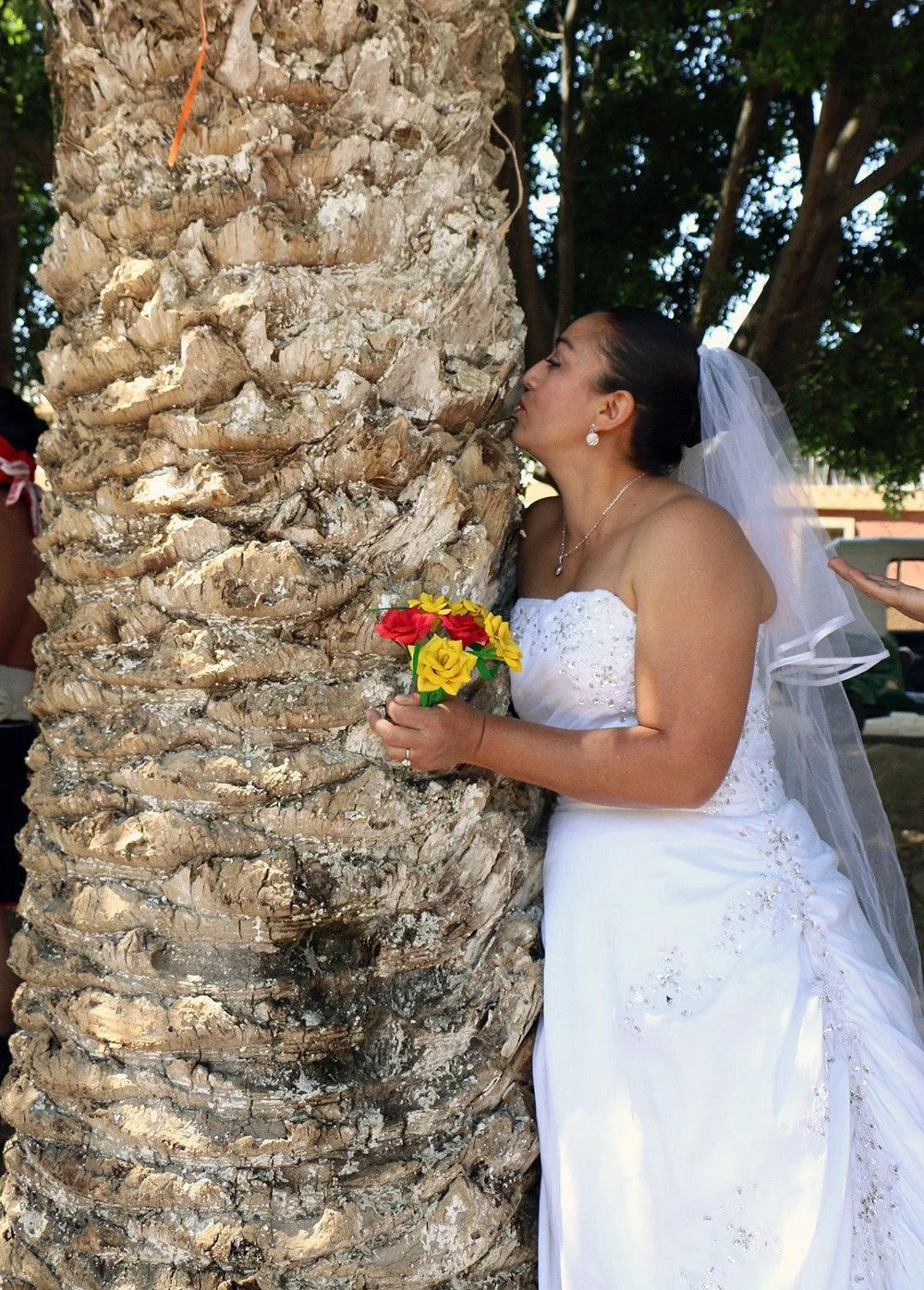 Мексиканки устроили протест и вышли замуж за деревья: фото свадебной церемонии - фото 374016