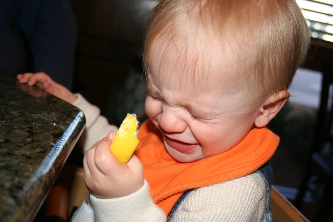 Малыши впервые в жизни пробуют лимон, и это безумно смешно - фото 373753