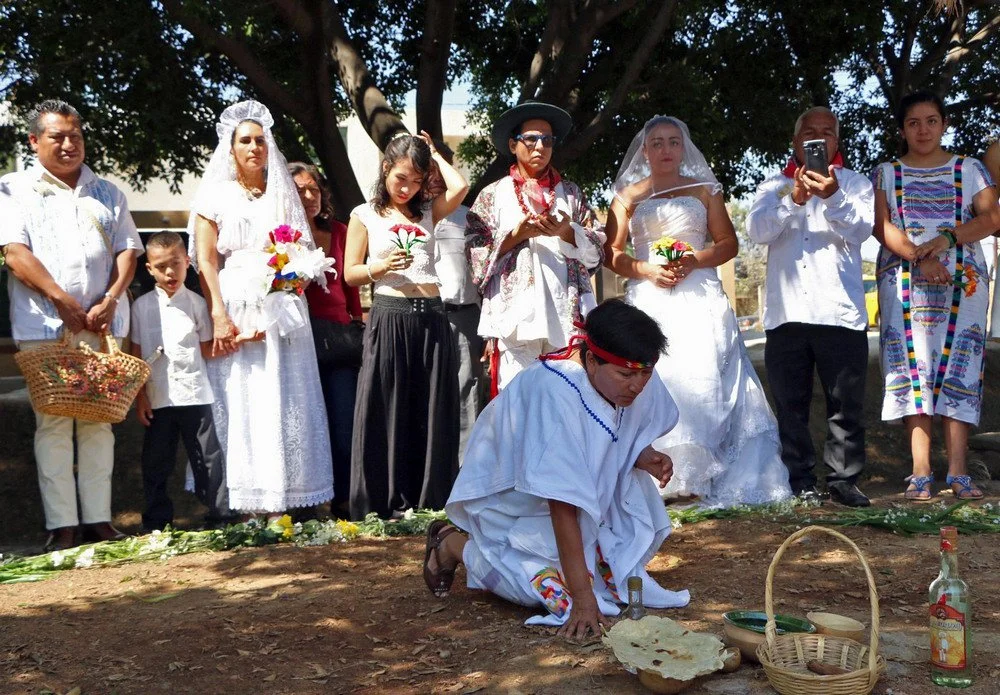 Мексиканки устроили протест и вышли замуж за деревья: фото свадебной церемонии - фото 374009