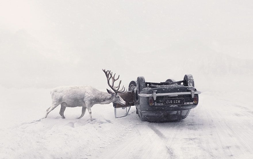 Sony World Photography Awards 2018: фото номинантов не оставят тебя равнодушным - фото 376082