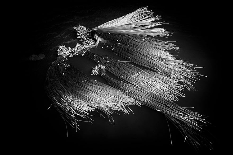 Sony World Photography Awards 2018: фото номинантов не оставят тебя равнодушным - фото 376077