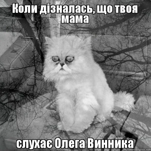 Молода шашлиця: смешные мемы с Олегом Винником, которые покорили сеть - фото 379770