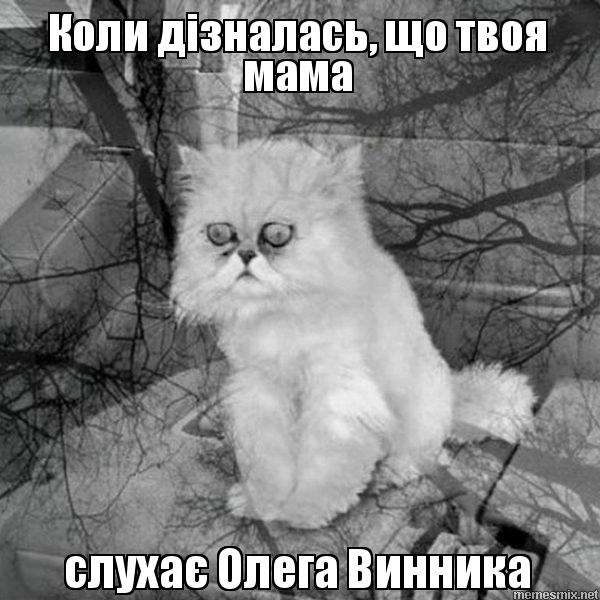 Молода шашлиця: смішні меми з Олегом Винником, які підкорили мережу - фото 379770