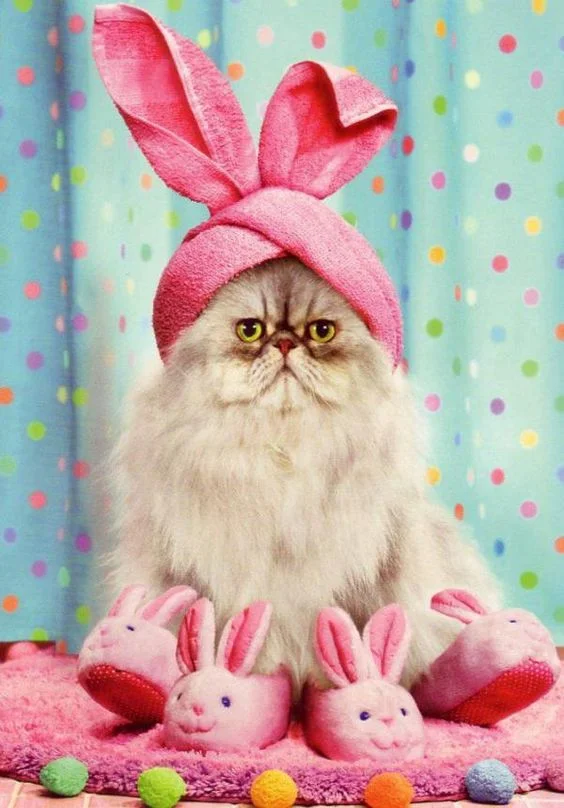 Я пушистый кроль: смешные и не слишком довольны котики в пасхальных костюмах - фото 378166