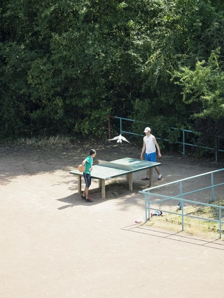 Фотограф 5 лет снимал стол для пинг-понга: на нем делали все, кроме игры в теннис - фото 378764
